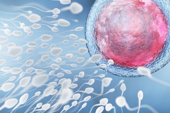 Analiza spermija je test muške plodnosti
