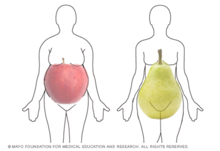 oblik tijela jabuke i kruške