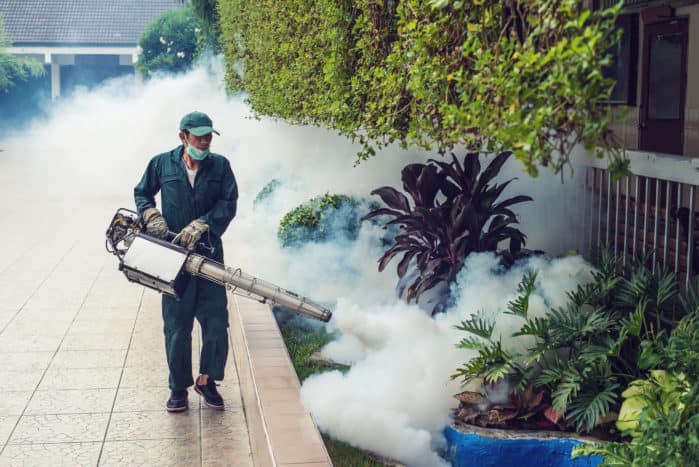 zamagljivanje plina u denga komaraca