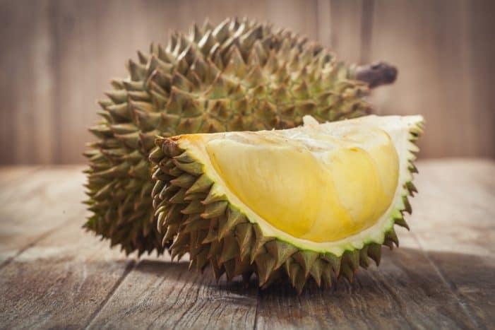 plod duriana