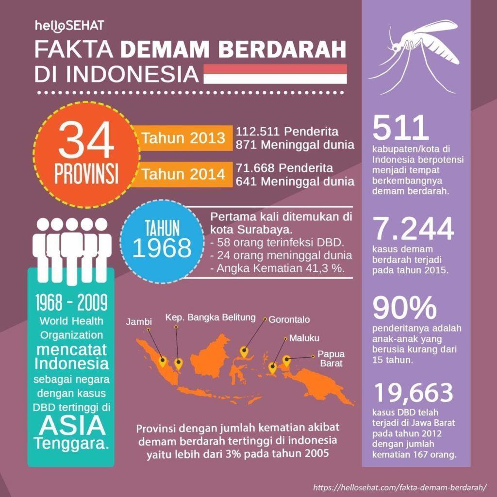 groznica denga u Indoneziji