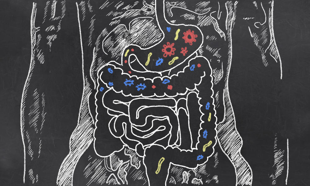 dijetetski obrasci temeljeni na bakterijama u crijevima